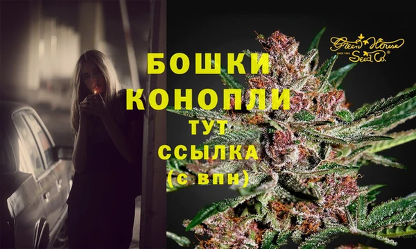 PSILOCYBIN Зеленокумск