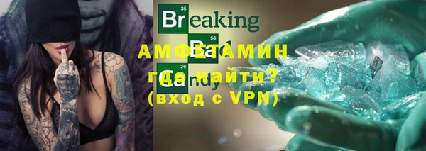 МДПВ Пересвет