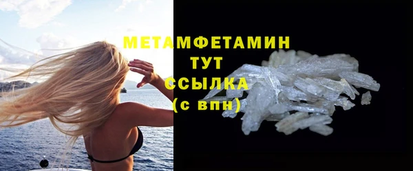 МДПВ Пересвет