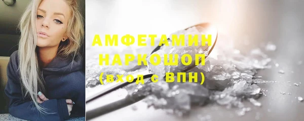МДПВ Пересвет