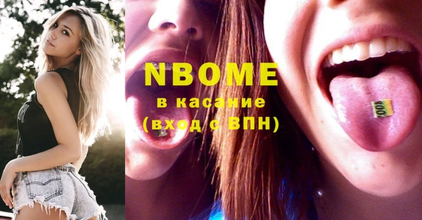 МДПВ Пересвет