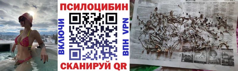 Галлюциногенные грибы ЛСД  Богданович 