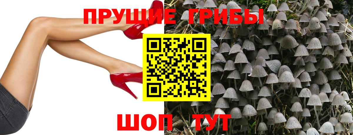 Псилоцибиновые грибы GOLDEN TEACHER  купить наркотик  Богданович 