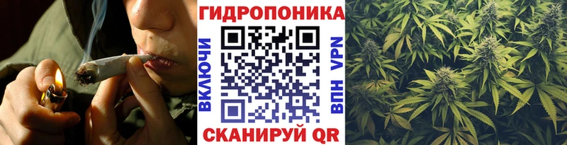 Бошки Шишки гибрид хочу наркоту omg ссылка Богданович