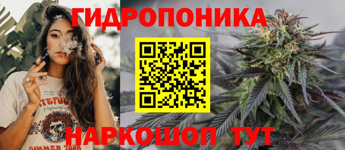 Бошки Шишки семена Богданович
